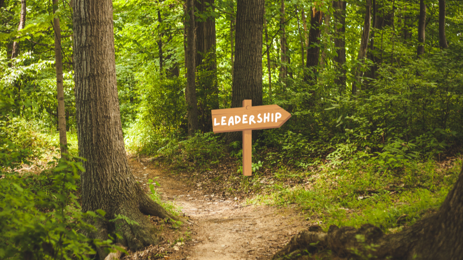 If you don’t want to lead, that’s OK… then don’t.