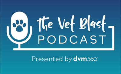 VetBlast